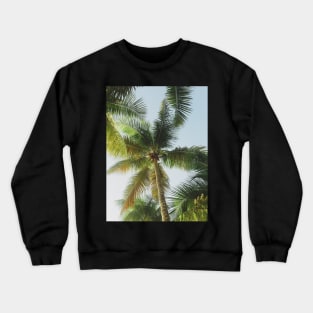 Palm tree Crewneck Sweatshirt